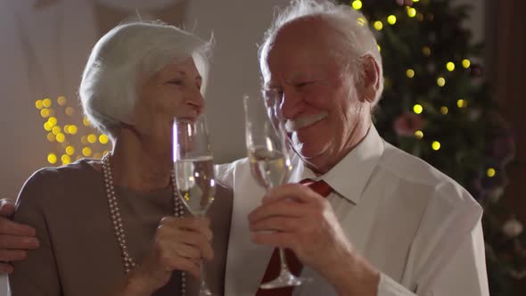 Sweet Elderly Couple Clinking Glasses on Christmas