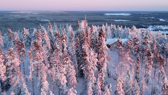 Aerial view of a forest in winter in Overtornea, Sweden.