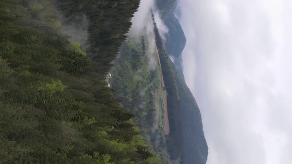 Vertical Video Carpathian Mountains