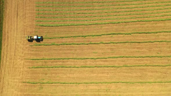 Top view of green grass in lines on the field and tractor works. Agricultural machinery