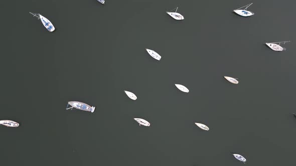 Beautiful aerial view of boats from above. Top down drone shot of Sydney Ocean. Australia