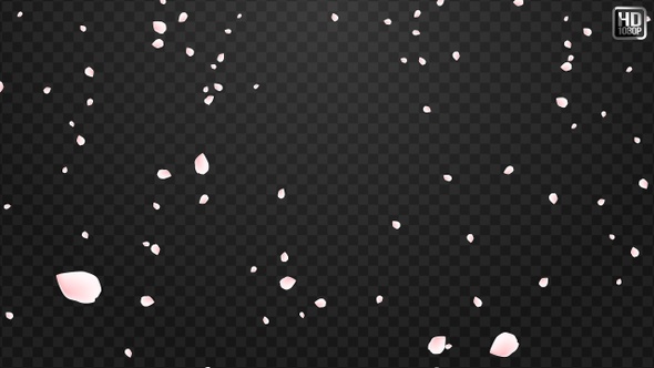 Cherry Blossom Falling alt