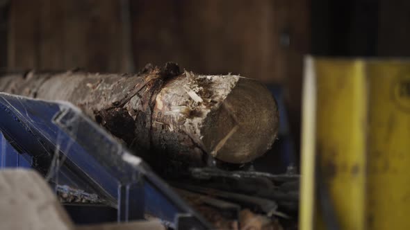 Wooden Beam on Conveyor, Wood Processing at a Woodworking Factory, Cutting Wood Log on Industrial