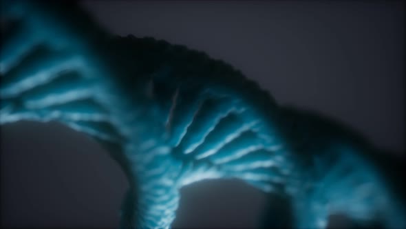 Loopable Structure of the DNA Double Helix Animation