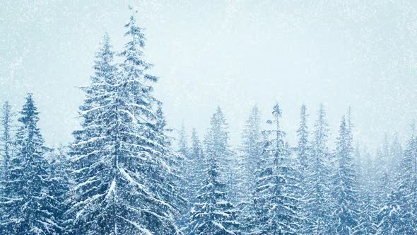 Beautiful Fluffy Snow on Tree Branches