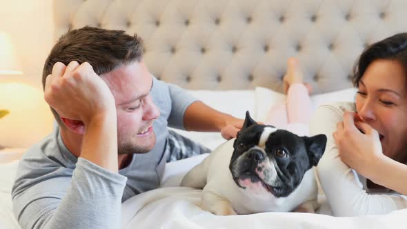 Happy couple playing with pug dog