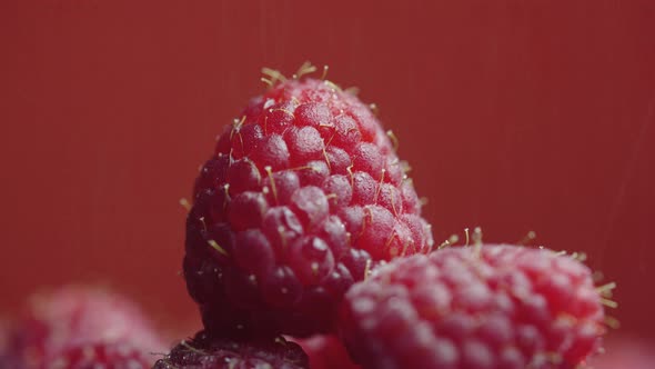 Raindrops Fall on Pile of Ripe Raspberries