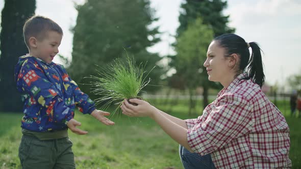 Mom and Baby Plant Grass in the Garden