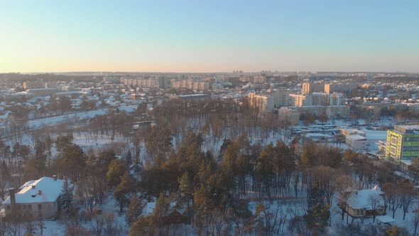 Suburb Forest And Winter