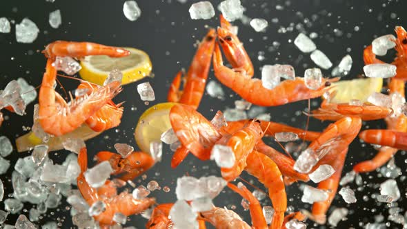 Super Slow Motion Shot of Flying Fresh Prawns with Crushed Ice and Lemon Slices at 1000 Fps