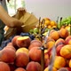 Young Caucasian Woman is Choosing a Peaches at Grocery Store - VideoHive Item for Sale