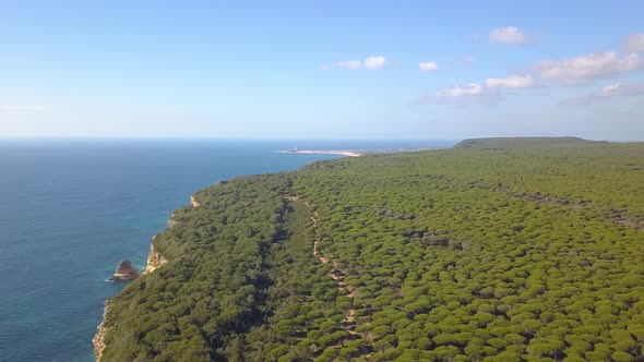 Aerial view of a big forest of pines in the mediterranean coast of Spain with a lighthouse in the ba