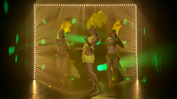 A Trio of Fiery Female Dancers Dance in Brazilian Carnival Costumes with Feathers. Theatrical Female