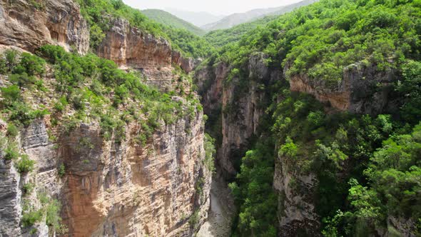 Flying Through Rocky Canyon Overgrown with Bushes and Trees