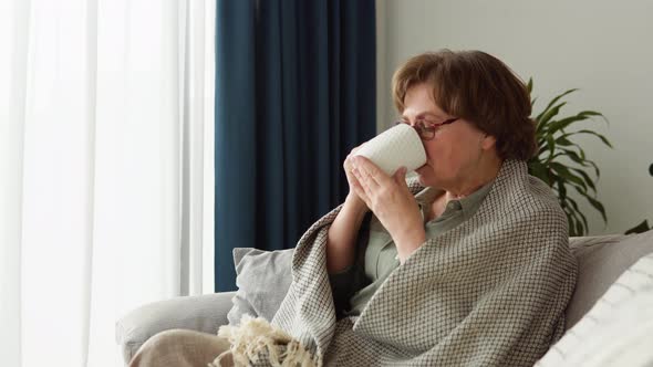 Beautiful Old Woman Drinking Tea Sitting on Sofa at Home