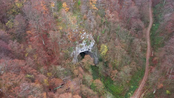 Flying Above a Monumental Cave Entrance Among Trees. Meziad, Romania