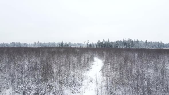 Winter Snow Covered Field with Forest and Path Flying