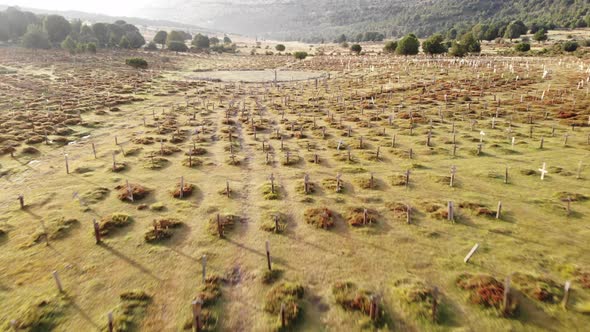 Sad Hill Cemetery in Spain. Aerial View 