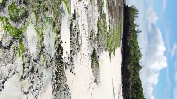 Zanzibar Tanzania  Vertical Video Empty Beach Slow Motion