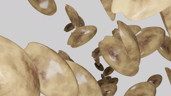 Many peanut flying to camera on white background.