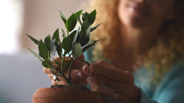 Close up and portrait of woman taking care of small plant inside of her home - plant growing up