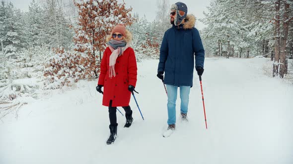 Couple Practicing Nordic Walking In Forest.  Nordic Walking With Trekking Sticks. Sport Recreation.