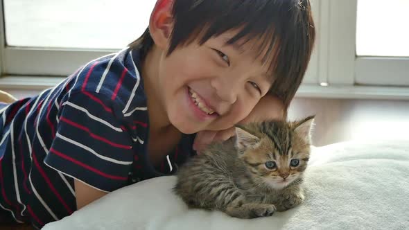 Cute Asian Child Playing With Short Hair Kitten