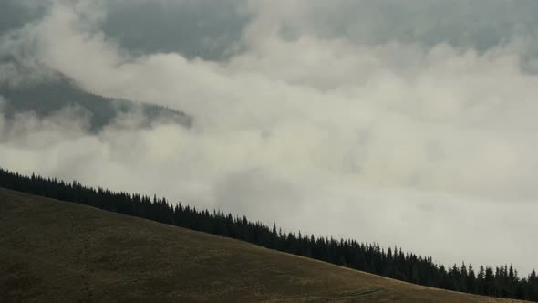 Time Lapse Fog Floating in Mountain Valley with Pine Forest Foreground