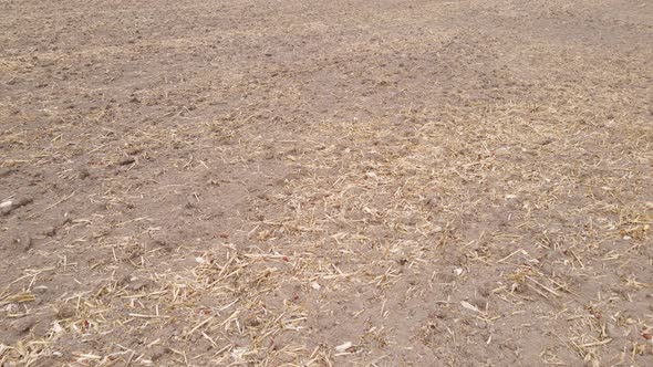 Land in a Plowed Field in Autumn