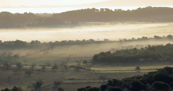 Beautiful Nature Landscape in the Morning at Sunrise