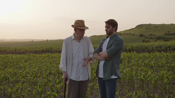 Old Farmer Talk with His Son About Harvest Stand