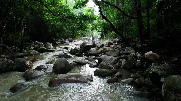 Fresh water in the river flowing thru rocks in a dense green tropical jungle