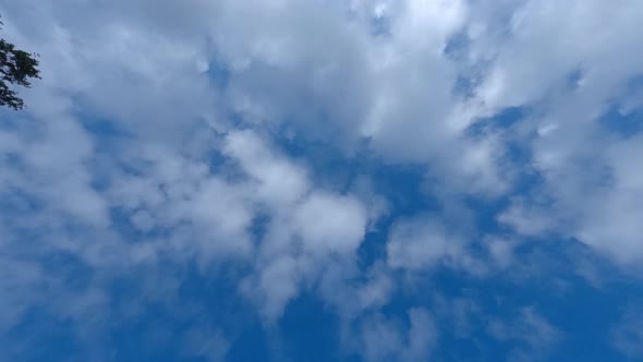 Looking into the blue white clouded sky. A timelapse of moving clouds from many puffy clouds to a re