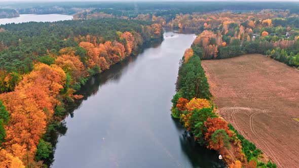 Aerial view of wildlife in Poland. River and autumn forest.