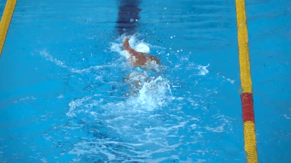 Professional swimmer swims in crawl in pool.  Slow Motion