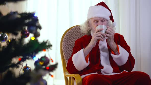 Portrait of Happy Relaxed Old Santa Clause Sitting in Rocking Chair at Christmas Tree Drinking Tea