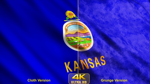 Kansas State Flags