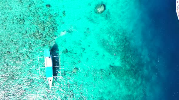 Aerial drone view texture of paradise coast beach wildlife by turquoise ocean with white sandy backg