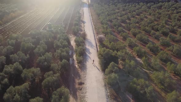 Teen walking with his dog on a path among olive trees