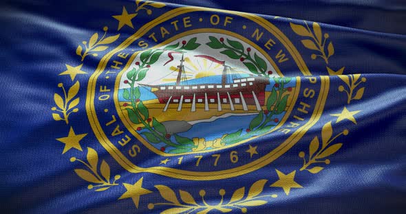 New Hampshire state flag waving background