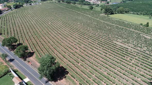 Rural landscape aerial view. Nature scenery