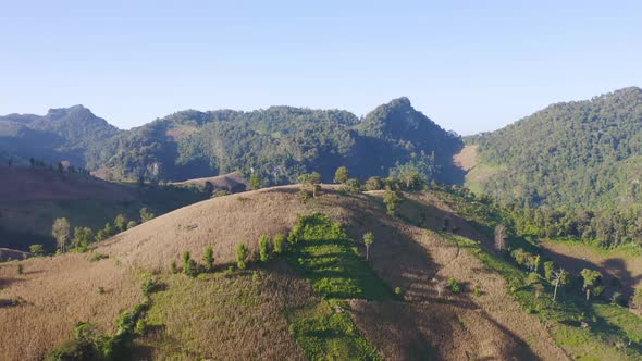 Aerial top view of forest trees and green mountain hills. Nature landscape background, Thailand.