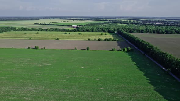 Green Grass Farmland Aerial