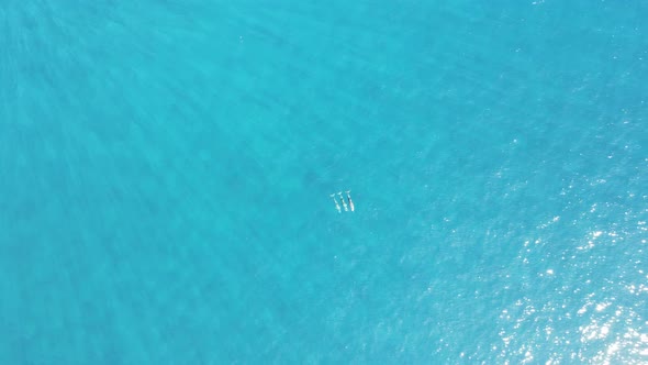 Top-down drone footage of three far dolphins swimming in a turquoise ocean.