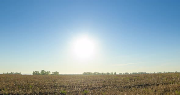 Flat Hill Meadow Timelapse at the Summer Sunset Time