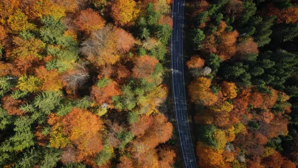 Flying Over The Empty Autumn Road 26