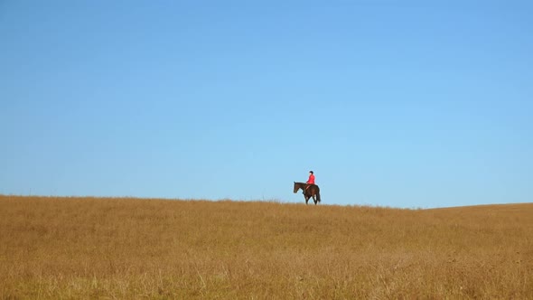 Girl Rider Riding a Horse