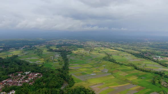 Small Indonesia villages and massive fields of rice, high angle drone view