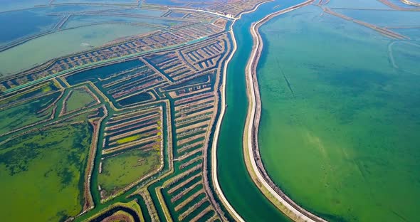 Road Along Horizontal Venice Channels with Algal Water Bloom