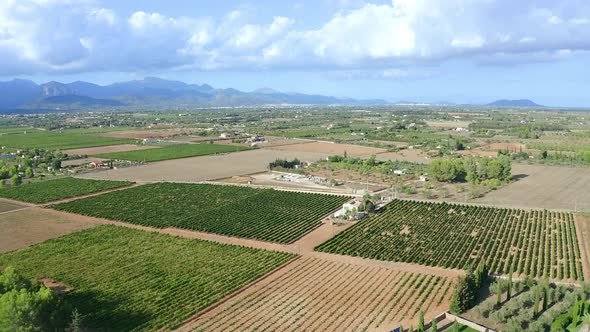 View of fields, Mallorca, Balearic Islands, Spain